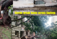 Gauteng Reels as Storms Unleash Havoc