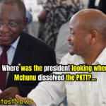 Why Didn't Ramaphosa Act? Phosa Questions President on Mchunu's Task Team Move