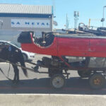 3 Cape Town men arrested and convicted for overloading Willamina the horse until it collapsed and died