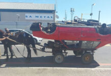 3 Cape Town men arrested and convicted for overloading Willamina the horse until it collapsed and died