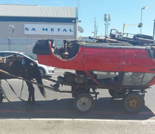 3 Cape Town men arrested and convicted for overloading Willamina the horse until it collapsed and died