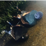 Four Foreign Nationals Arrested in Mpumalanga Gold and Bribery Bust