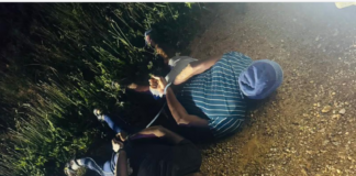 Four Foreign Nationals Arrested in Mpumalanga Gold and Bribery Bust