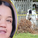4 months pregnant, murdered and buried in shallow grave in Grassy Park: Boyfriend and second suspect nabbed for brutal murder