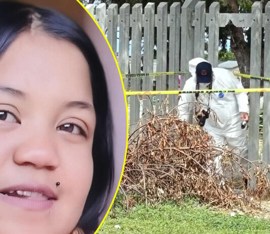 4 months pregnant, murdered and buried in shallow grave in Grassy Park: Boyfriend and second suspect nabbed for brutal murder