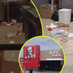 The Dirtiest Kitchen in South Africa: Shocking video of filthy Belhar KFC goes viral (WATCH VIDEO)