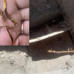 Cape Town Family's Horror: Grave of elderly Woman is Dug Open, Coffin Opened and Gold Chain Stolen