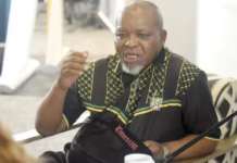 Gwede Mantashe rules out ANC presidential bid as Succession Talk Heats Up