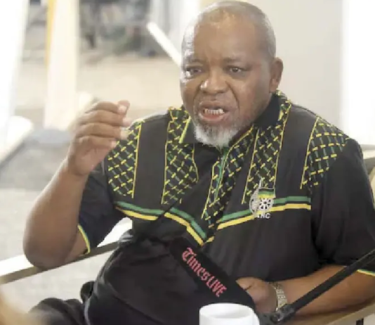 Gwede Mantashe rules out ANC presidential bid as Succession Talk Heats Up