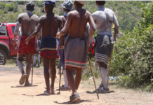 Initiation Deaths in Eastern Cape Reach 20