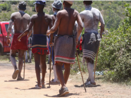 Eastern Cape: Nine Minors Freed from Secretive, Illegal Initiation School
