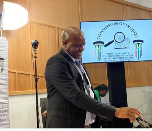 Testimony That Cost Witness ‘D’ His Life: What He Told the Madlanga Commission About EMPD Deputy Chief Julius Mkhwanazi