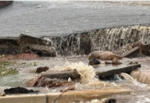 KZN Hit Hard by Flooding, Businesses Forced to Close