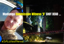 Madlanga Commission "Witness D" Shot Dead After Implicating Police Chief in Murder Cover-Up