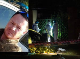 "Don’t Assume Witness D’s Murder Is Linked to Madlanga Commission, Says Minister"