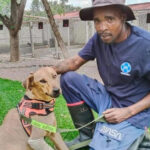 Man Who Walked 15km to Save Dog Hired by SPCA