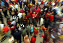 Fibre Network Operator Challenges South Africa's Official Population Figures, says Country May Have Over 95‑million People