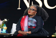 Foreign Pupils and Teachers in South Africa's State Schools: Minister Reveals Enrolment Figures