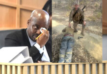 Did Zama Zamas Silence Madlanga Commission Witness D?