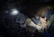 Bekkersdal tavern massacre linked to violent turf war between rival zama zama groups