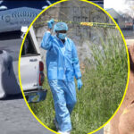 'He cut off private parts and arms': Ceres man walks around town with body parts of man he brutally killed