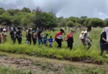 SANDF Intercepts Over 1,000 Undocumented Foreigners at Limpopo Border