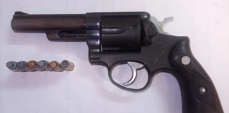 Hawks catch woman with 420 bullets and illegal gun