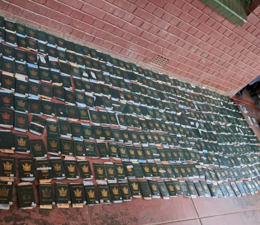 Undocumented Zimbabwean National Arrested in Mpumalanga with Hundreds of Passports and Large Sum of Cash