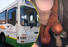 She showed us her punani: Shocking video of woman urinating in Golden Arrow bus goes viral (WATCH VIDEO)