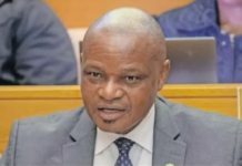 Controversy as Head of Maumela Investigation Appointed NDPP Without Interview