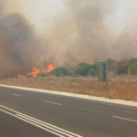 Wildfires Rage Across Western and Eastern Cape, Weather Service Issues Warning