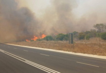 Wildfires Rage Across Western and Eastern Cape, Weather Service Issues Warning