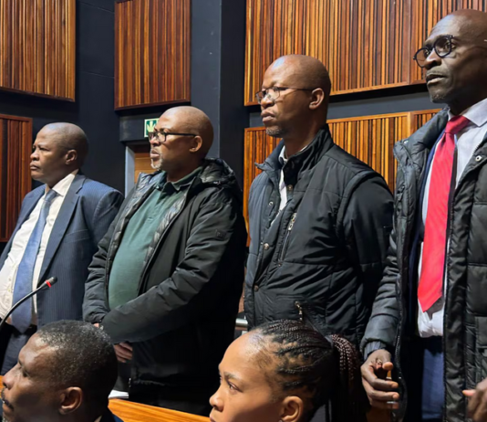 Malusi Gigaba and Former Transnet Executives Face Trial Over R54 Billion Scandal