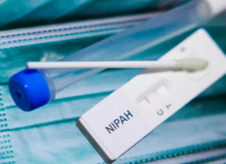 Health Department Urges Calm Amid Nipah Virus Concerns