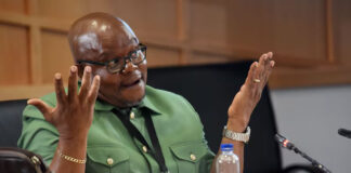 KZN Police Chiefs in Public Spat After Commissioner Mkhwanazi Fires Hawks Head