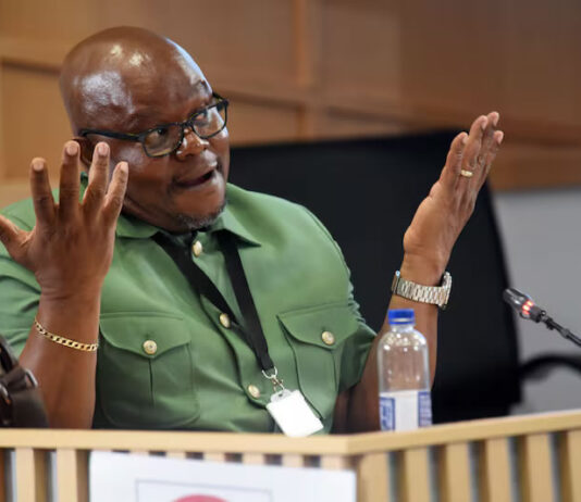 KZN Hawks Boss Senona to Face Criminal Investigation After Ramaphosa Accepts Inquiry Findings