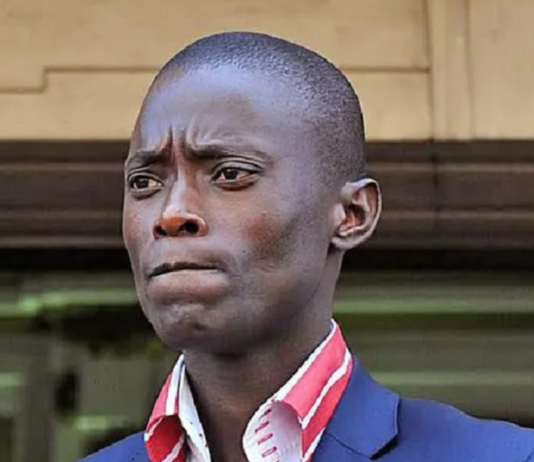 Madlanga Commission| Witness E: Magaqa murder plot ignored by superiors