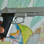 Drama as DOM Wesbank gang members draws a fake gun and points it at Mfuleni Crime Prevention Police officers