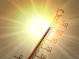 CAPE TOWN IN CRISIS! 40°C 'Hell-Fire' Heatwave Grips the Mother City – Is the Infrastructure About to Melt?