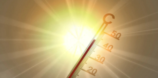 CAPE TOWN IN CRISIS! 40°C 'Hell-Fire' Heatwave Grips the Mother City – Is the Infrastructure About to Melt?