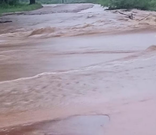 South Africa Declares National Disaster as Floods Devastate Provinces
