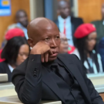 Firearm Discharge Case : Julius Malema not a candidate for direct imprisonment