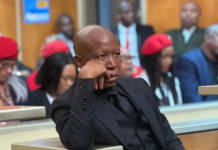 Firearm Discharge Case : Julius Malema not a candidate for direct imprisonment