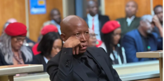 Malema confirms visits to Msibi farm but rejects claims of cash, whisky and cartel protection