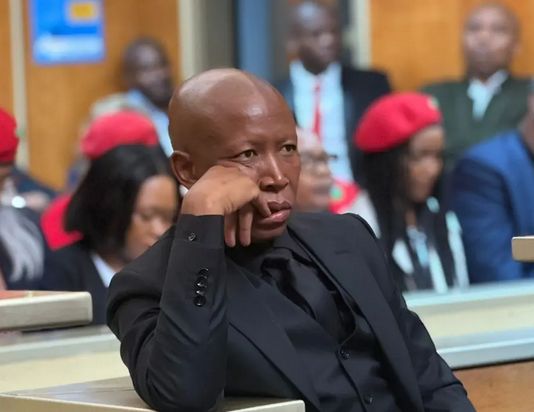 Julius Malema Sues Ngizwe Mchunu for R1 Million Over 'Drug Money' Claims