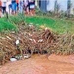 "I Didn't Know He Followed Me": Toddler Drowns in Stream After Following Mom to Shop