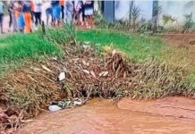 "I Didn't Know He Followed Me": Toddler Drowns in Stream After Following Mom to Shop