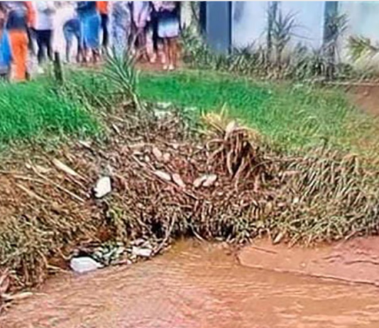 "I Didn't Know He Followed Me": Toddler Drowns in Stream After Following Mom to Shop