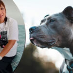 Cape Town woman mauled to death by her own PIT BULL DOGS: Son Attacked Before, family secrets EXPOSED!