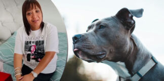 Cape Town woman mauled to death by her own PIT BULL DOGS: Son Attacked Before, family secrets EXPOSED!